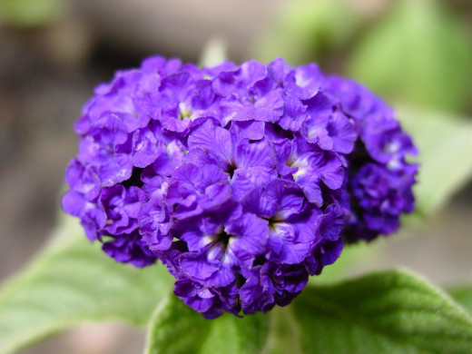 422733 (a): :1600x1200